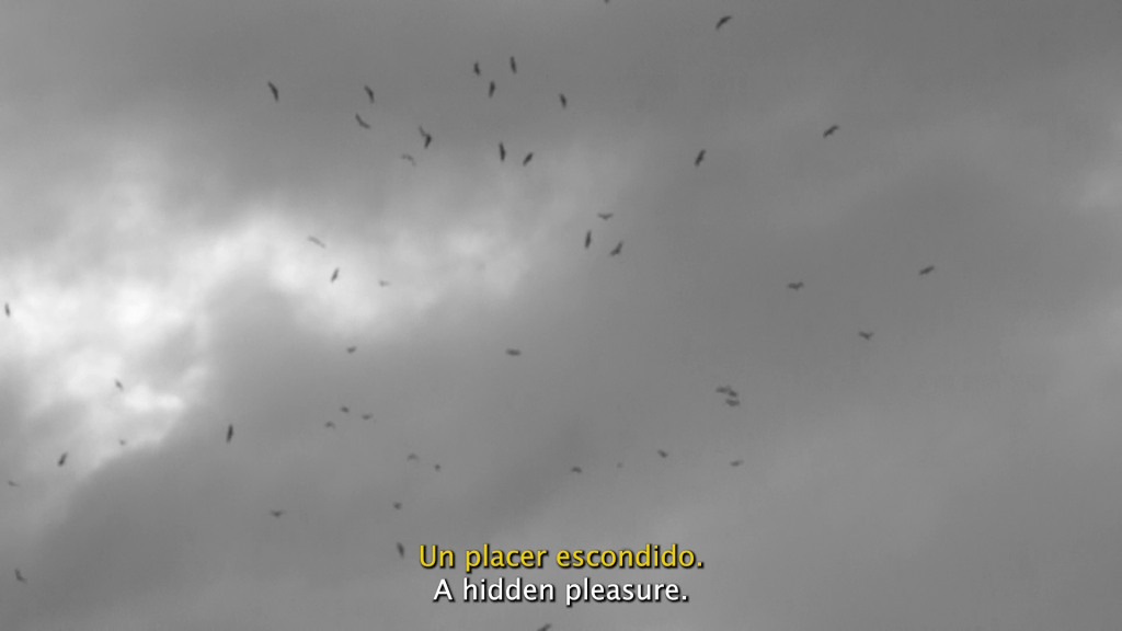 lsjdlak
